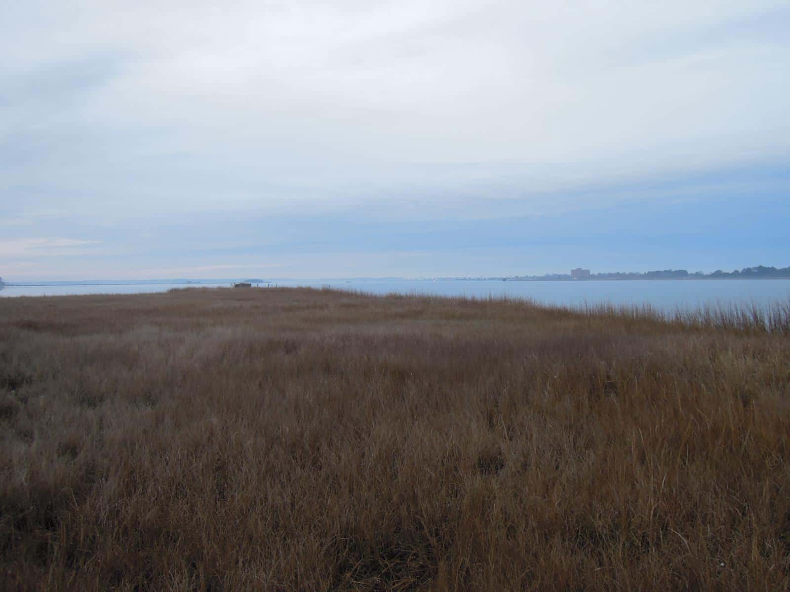 Jump Point Waterfowling