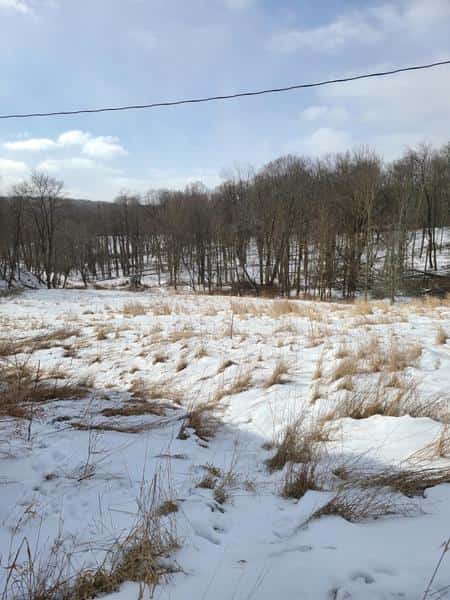 Wambaugh Hollow Hunting