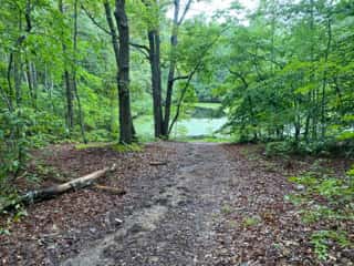 Ford Creek 17