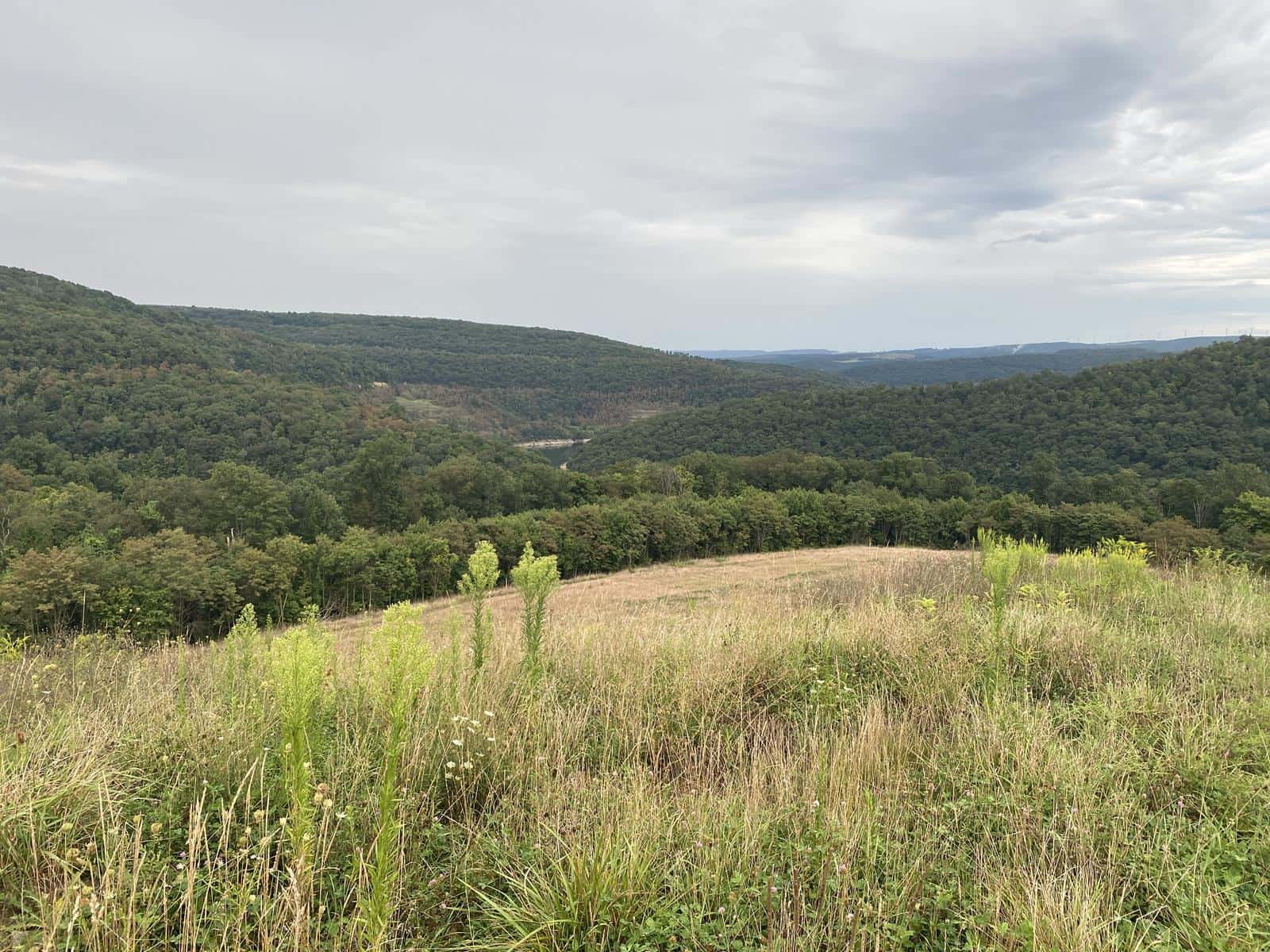 Potomac Highlands 230W #1