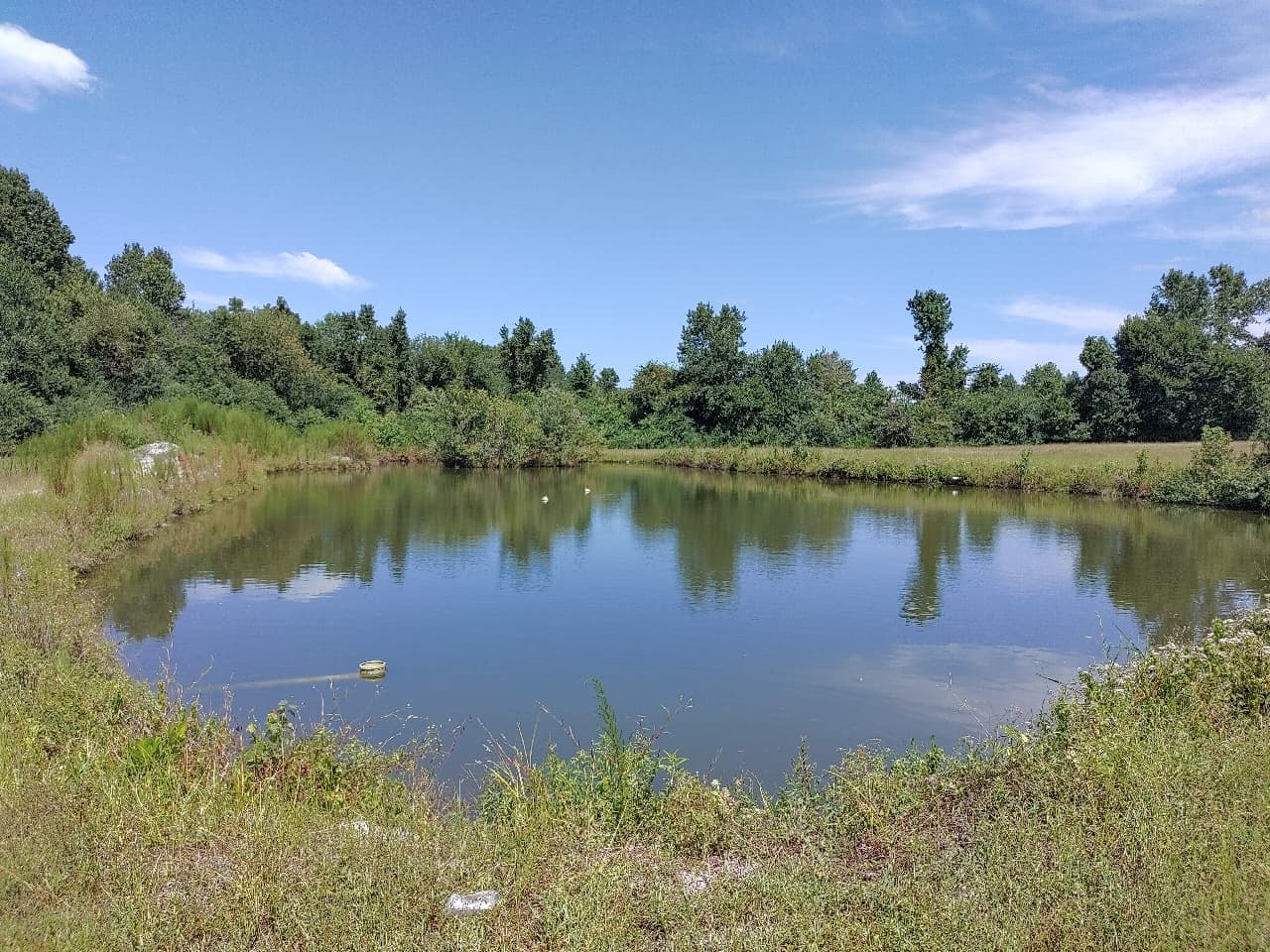 Kathy's Farm North - Photo 1