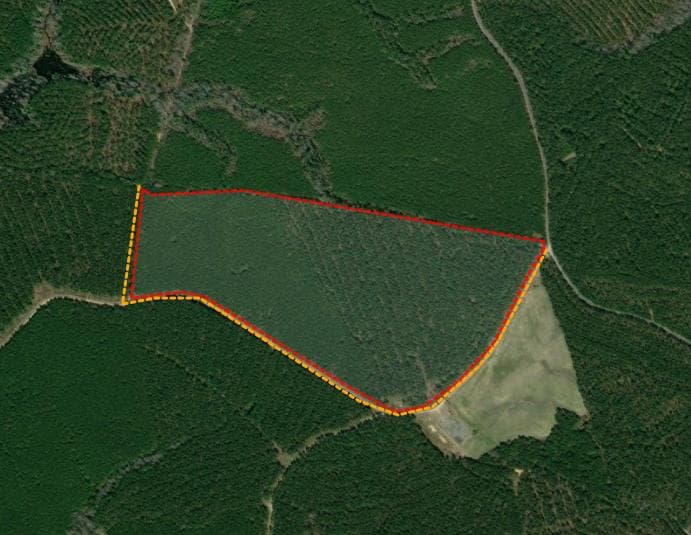 Sycamore Grove 64 - Photo 1