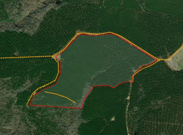 Sycamore Grove 105 - Photo 1