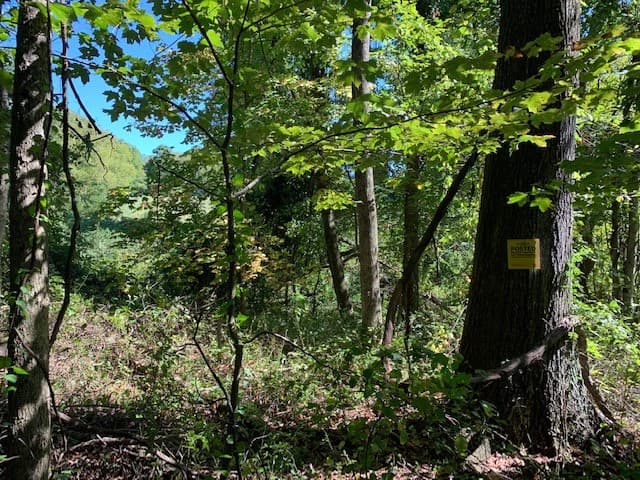Cross Creek Hunting - Photo 1