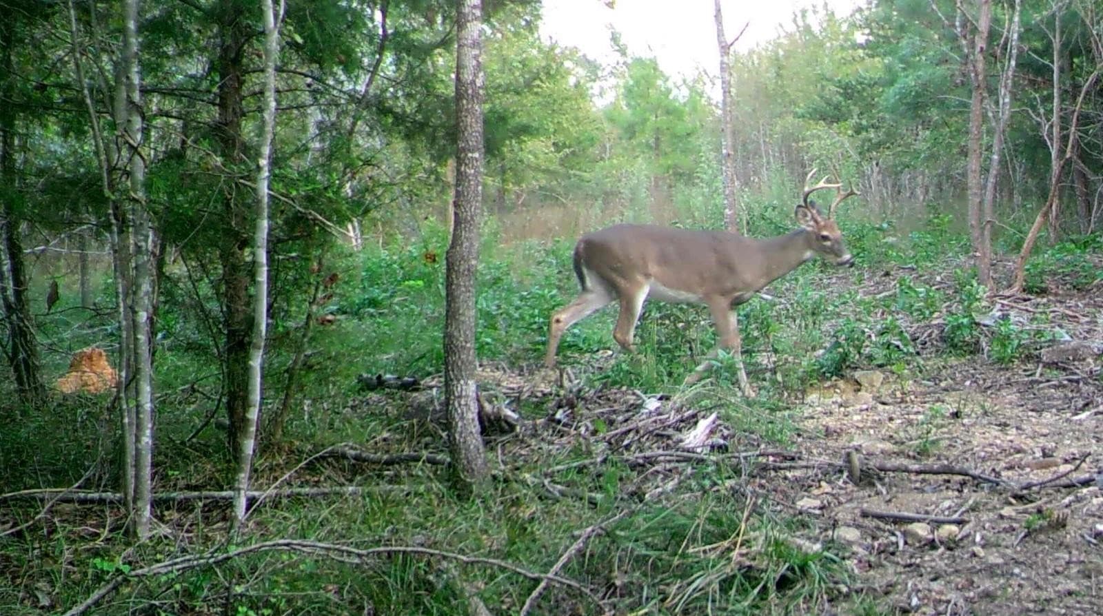 Badin Lake recreational land - Photo 1