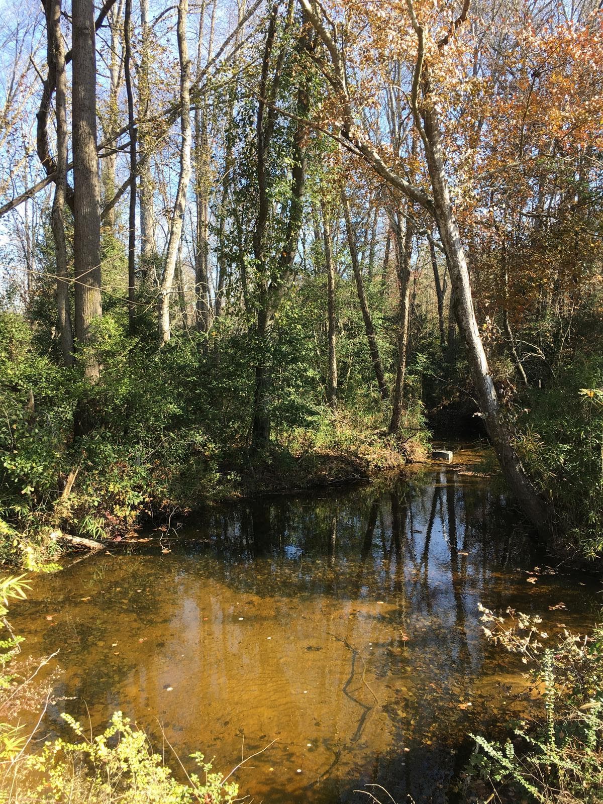 Little Dirt Road Home Place - Photo 1