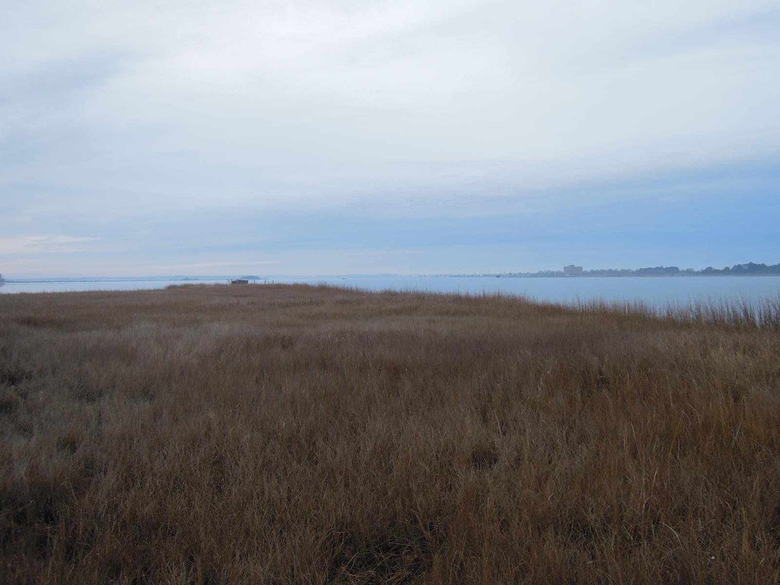 Jump Point Waterfowling - Photo 1
