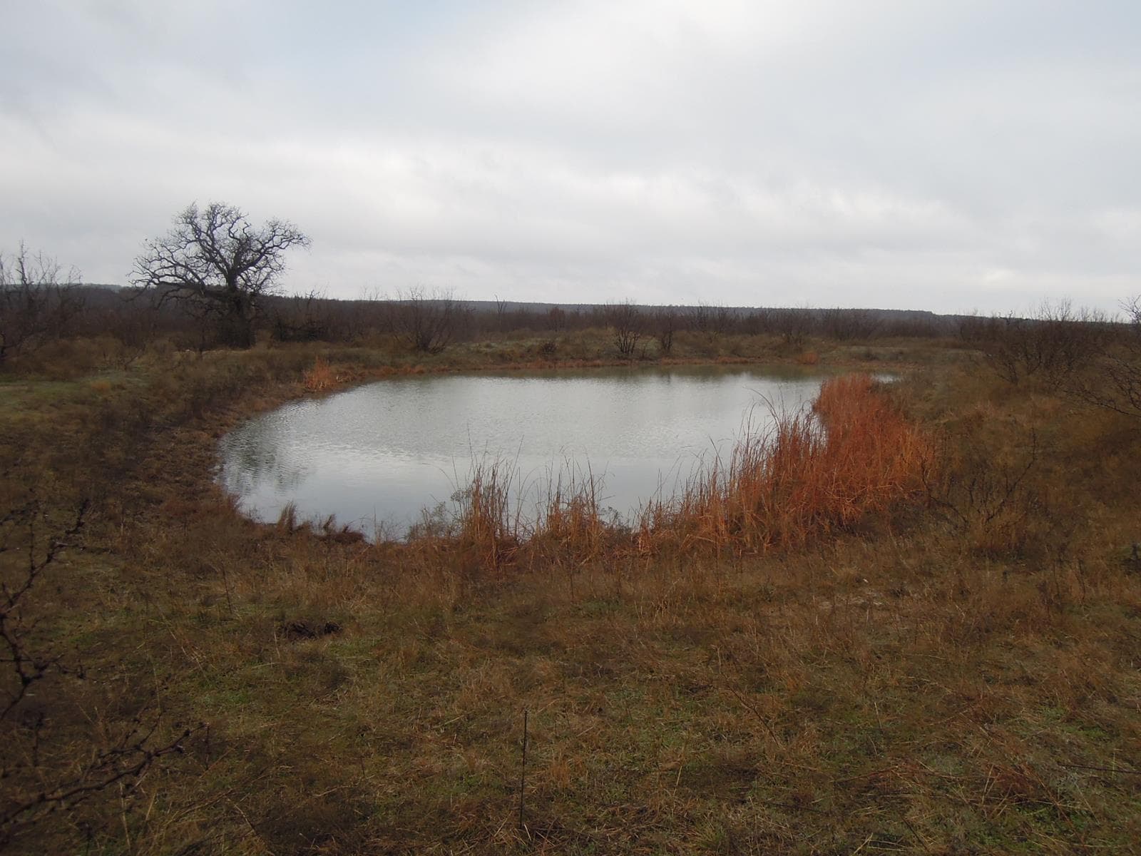 Rock Springs Hunting - Photo 1