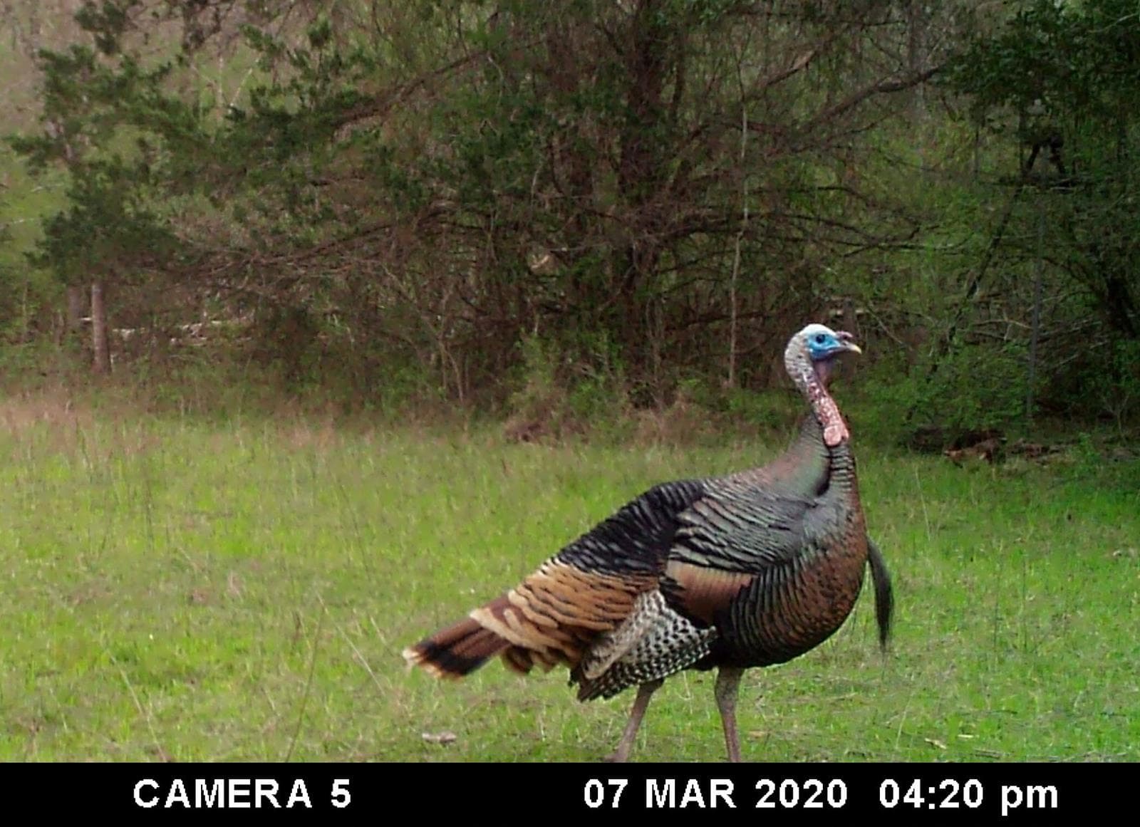 LDB Ranch - Photo 1