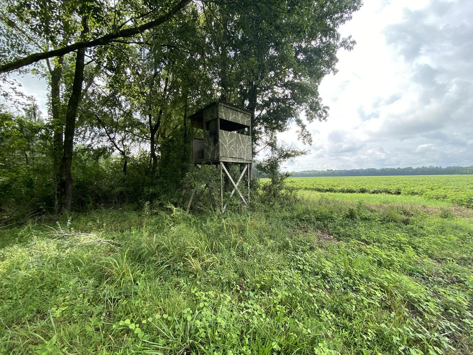 Bucklesberry Hunt - Photo 1
