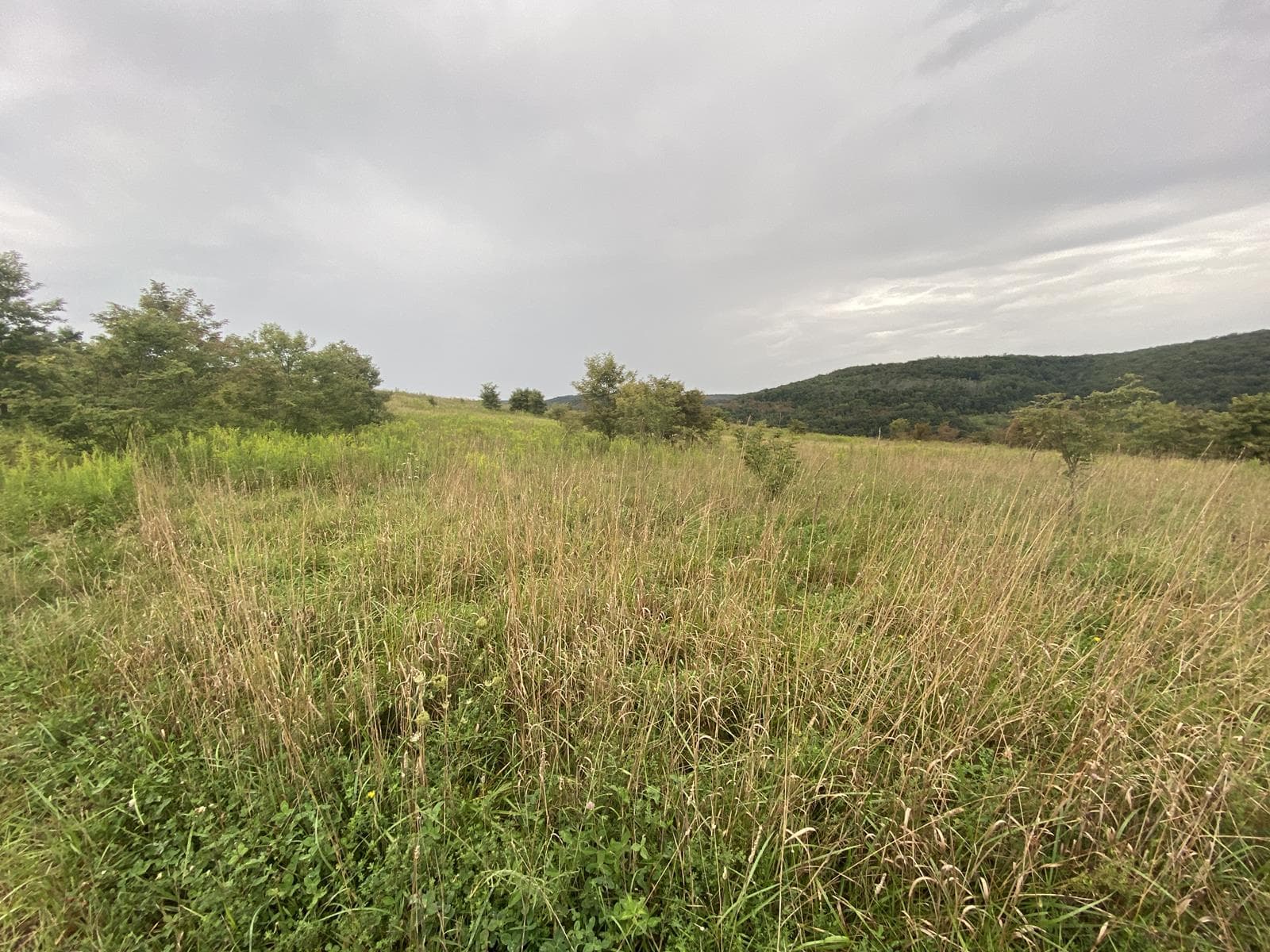 Potomac Highlands 282W    - Photo 1
