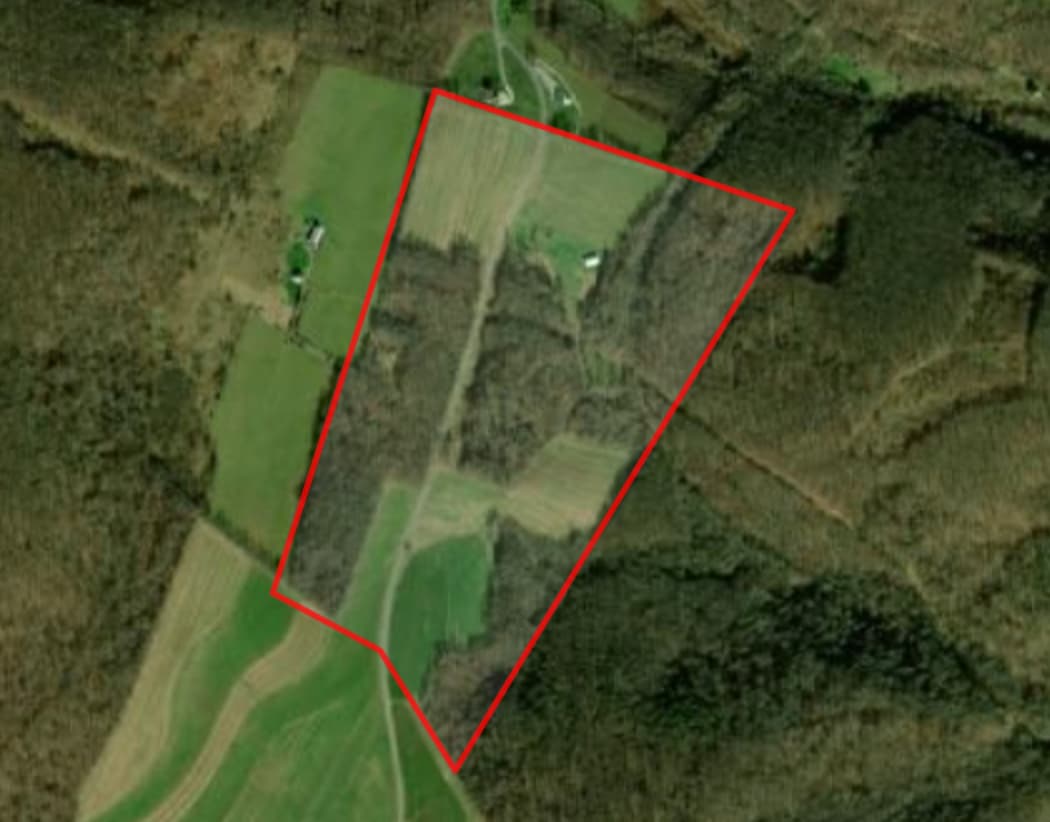 Wambaugh Hollow Hunting - Photo 1