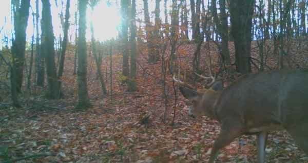 Ticknor Brook Hunting - Photo 1