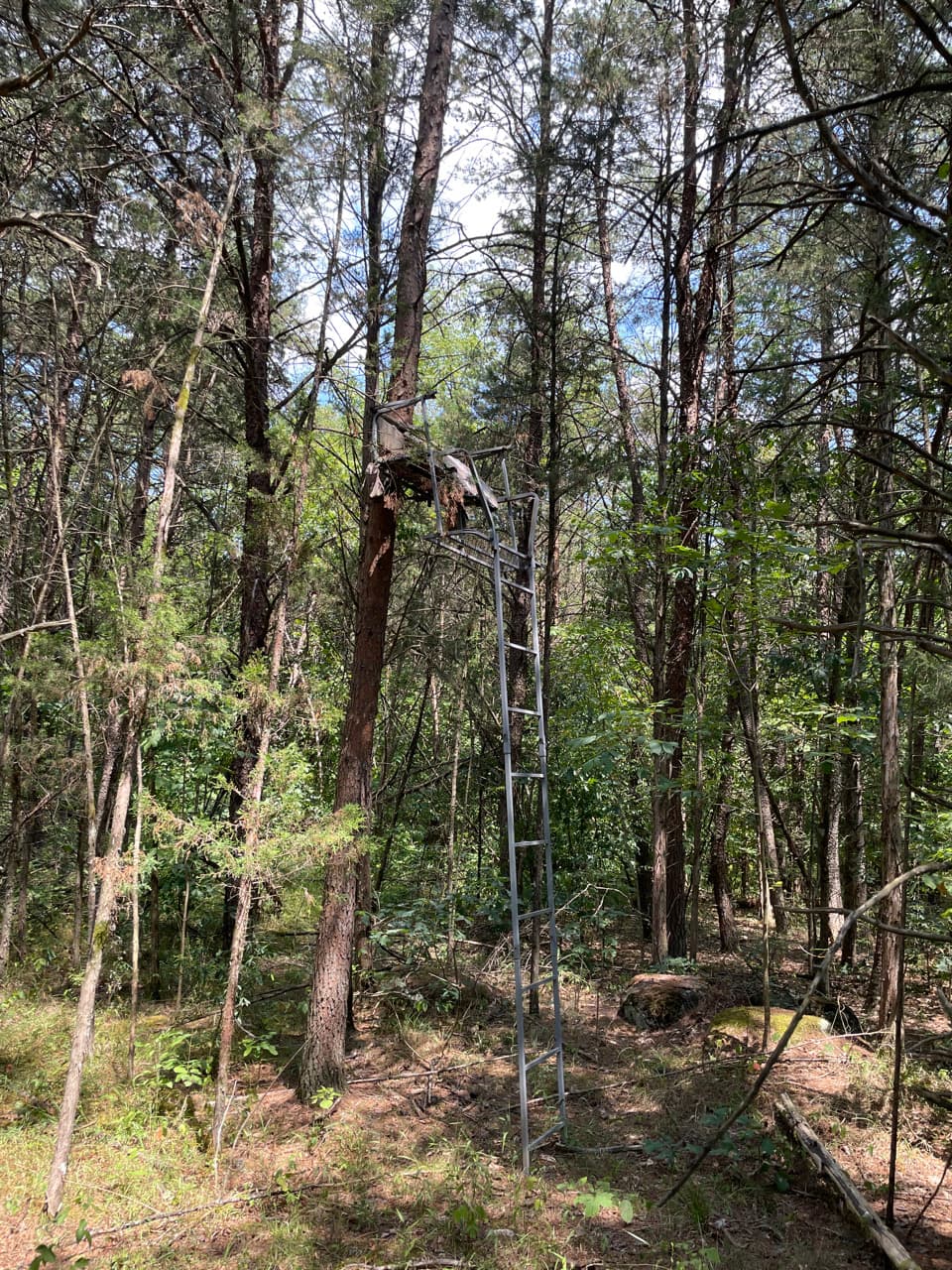 Sumerduck Run Acres - Photo 1