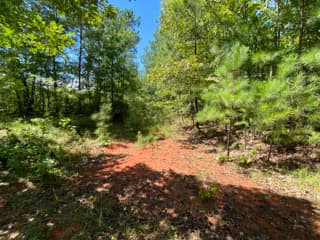 Simmons Creek Hunting - Photo 1