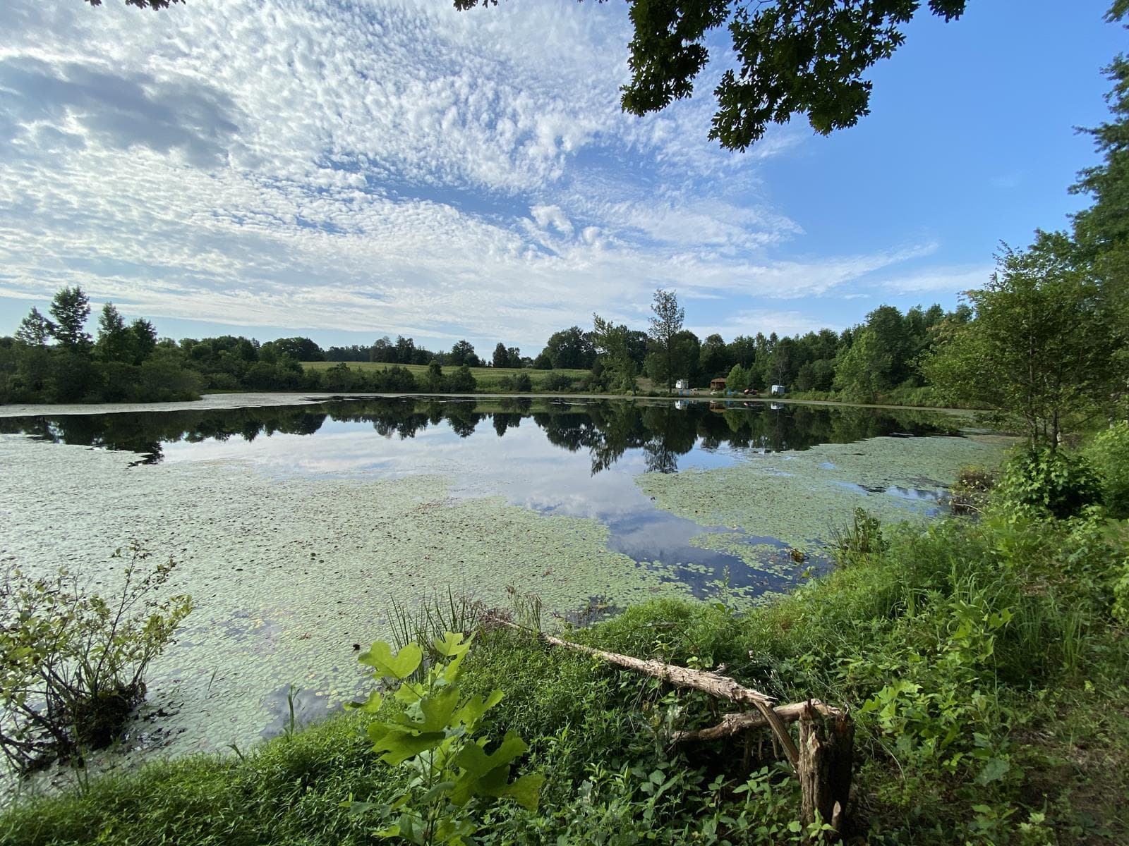 Taylor Farm - Duck Pond - Seasonal Waterfowl - Photo 1