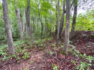 Ford Creek 17 - Photo 1