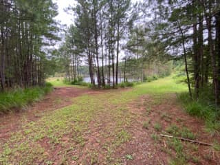Ford Creek 41 - Photo 1