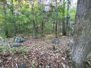 Hyco Hunting South- 146 acre Caswell County NC Hunting Lease - Photo 1