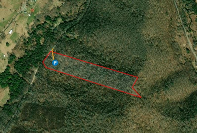 West Fork Hunting - Photo 1