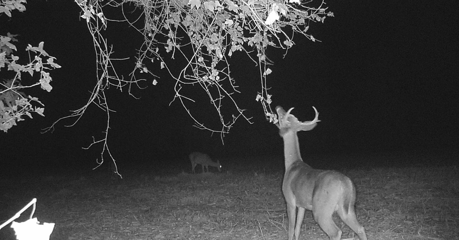 Burdette Hunting NW - Photo 1