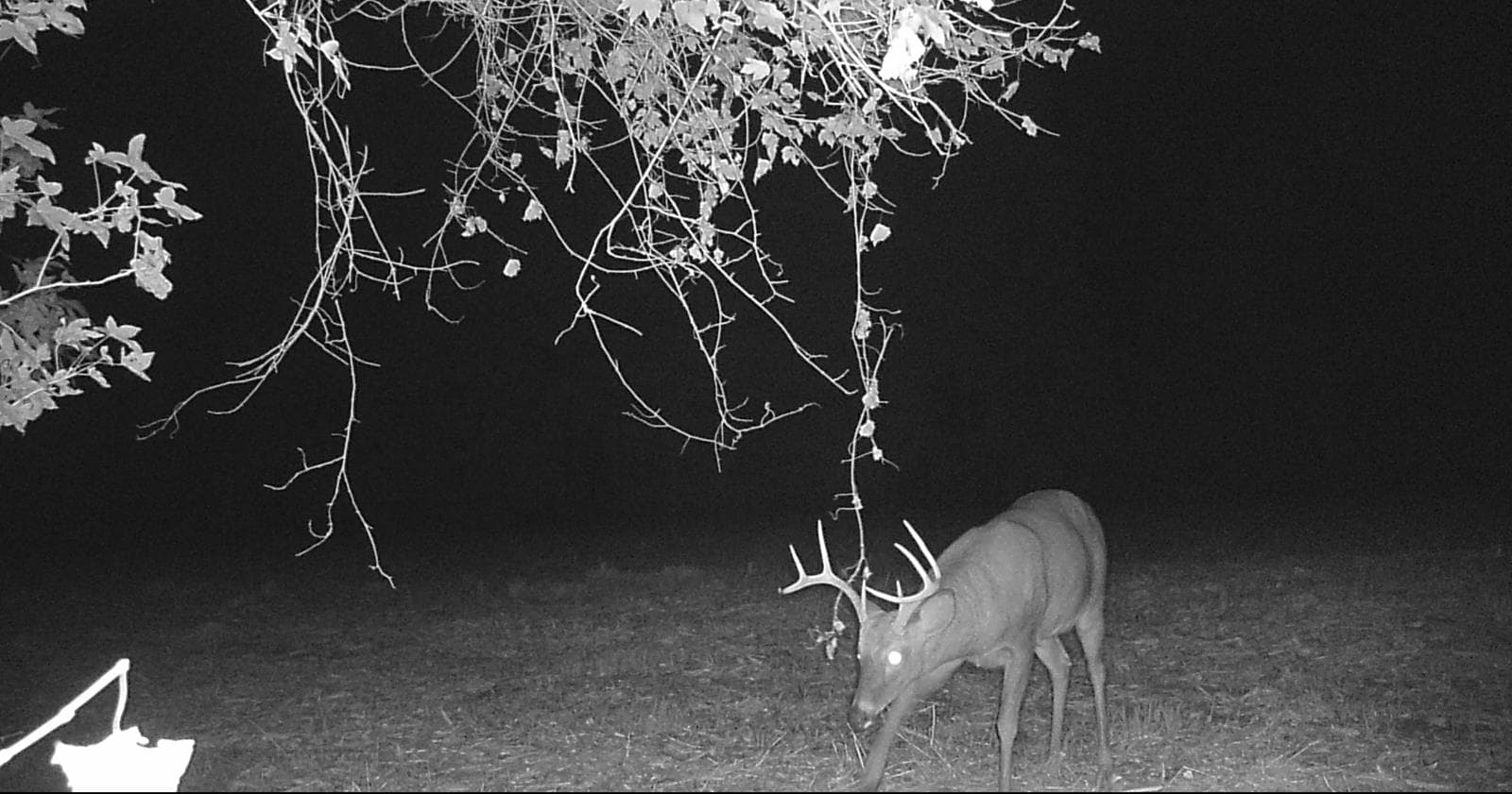 Burdette Hunting SE - Photo 1