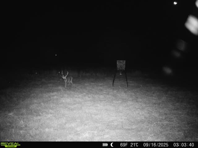 Cushing 80 Acres - Photo 1
