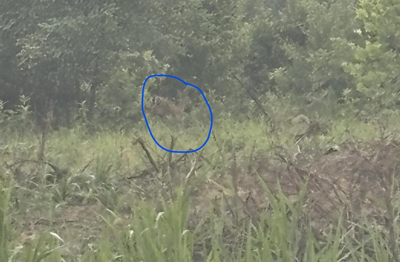 H Creek Hunting - Photo 1