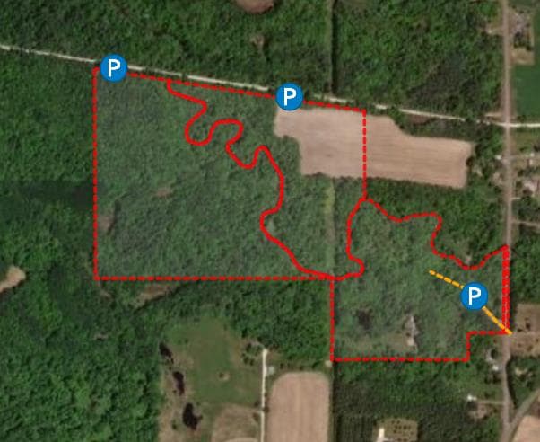 90 Acre Polk County Hunt November 1st-November 14th - Photo 1