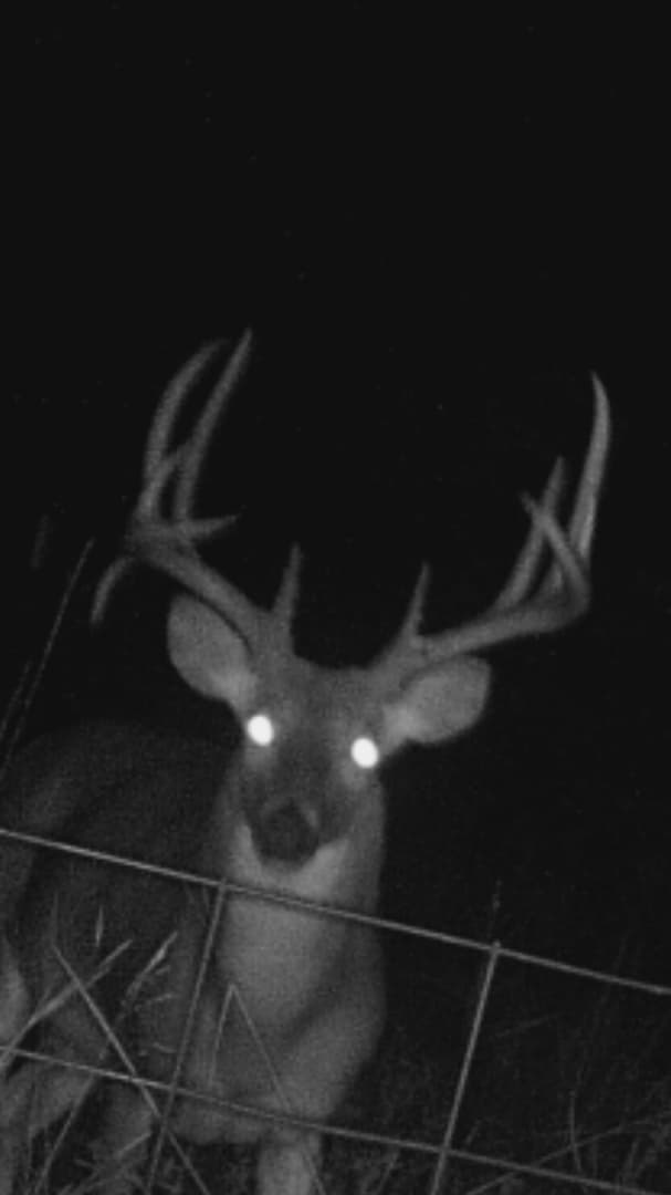 Rush Creek Deer Hunts - Photo 1