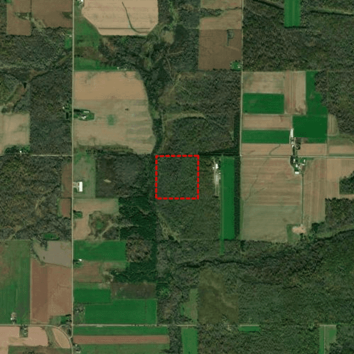 40 Acre Clark County WI Hunting Lease - Photo 1