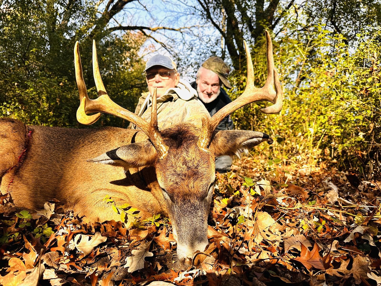 Family Whitetail Firearm Hunt - Photo 1
