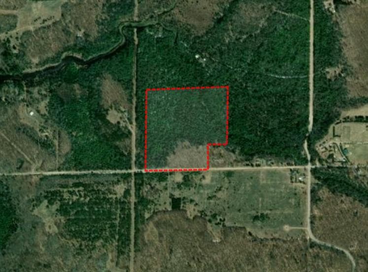 38 Acre Antrim County MI Hunting Lease  - Photo 1