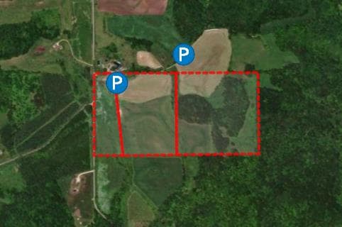 78 Acre Dunn County Hunting Lease  - Photo 1