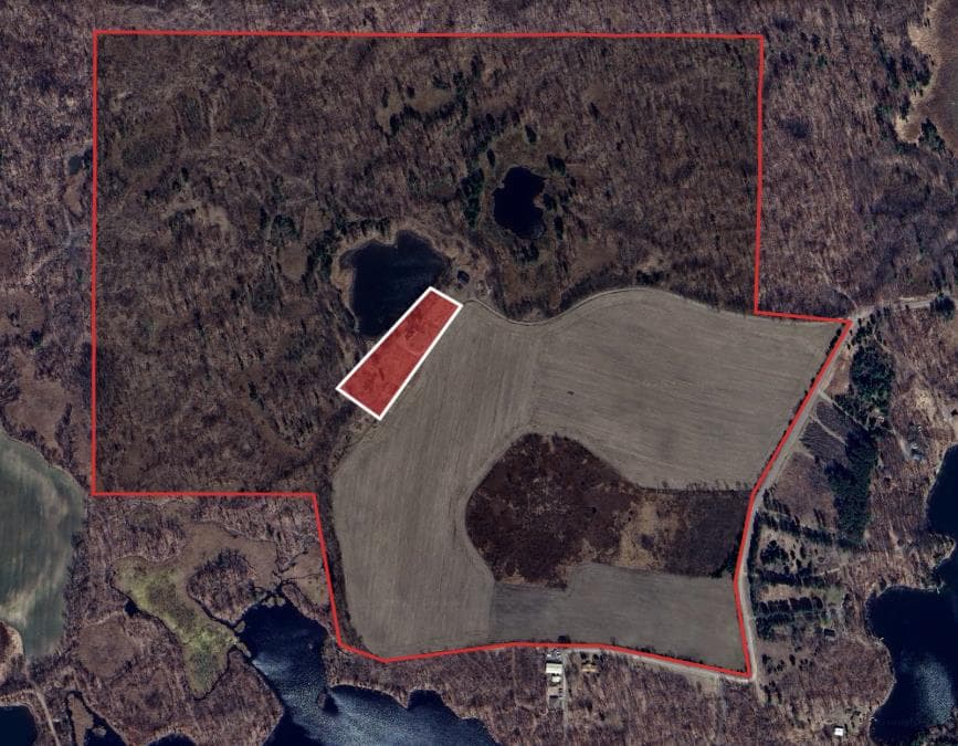 275 Acre Polk County Hunting Retreat  - Photo 1