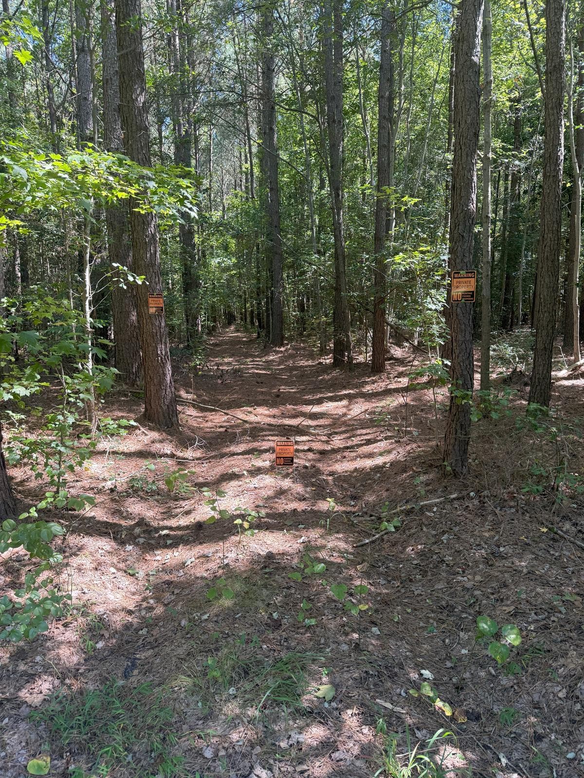 Guinea Neck 47 - Photo 1
