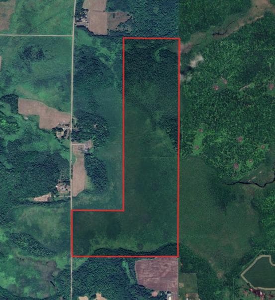 206 Acre Mille Lacs County Hunting - Photo 1