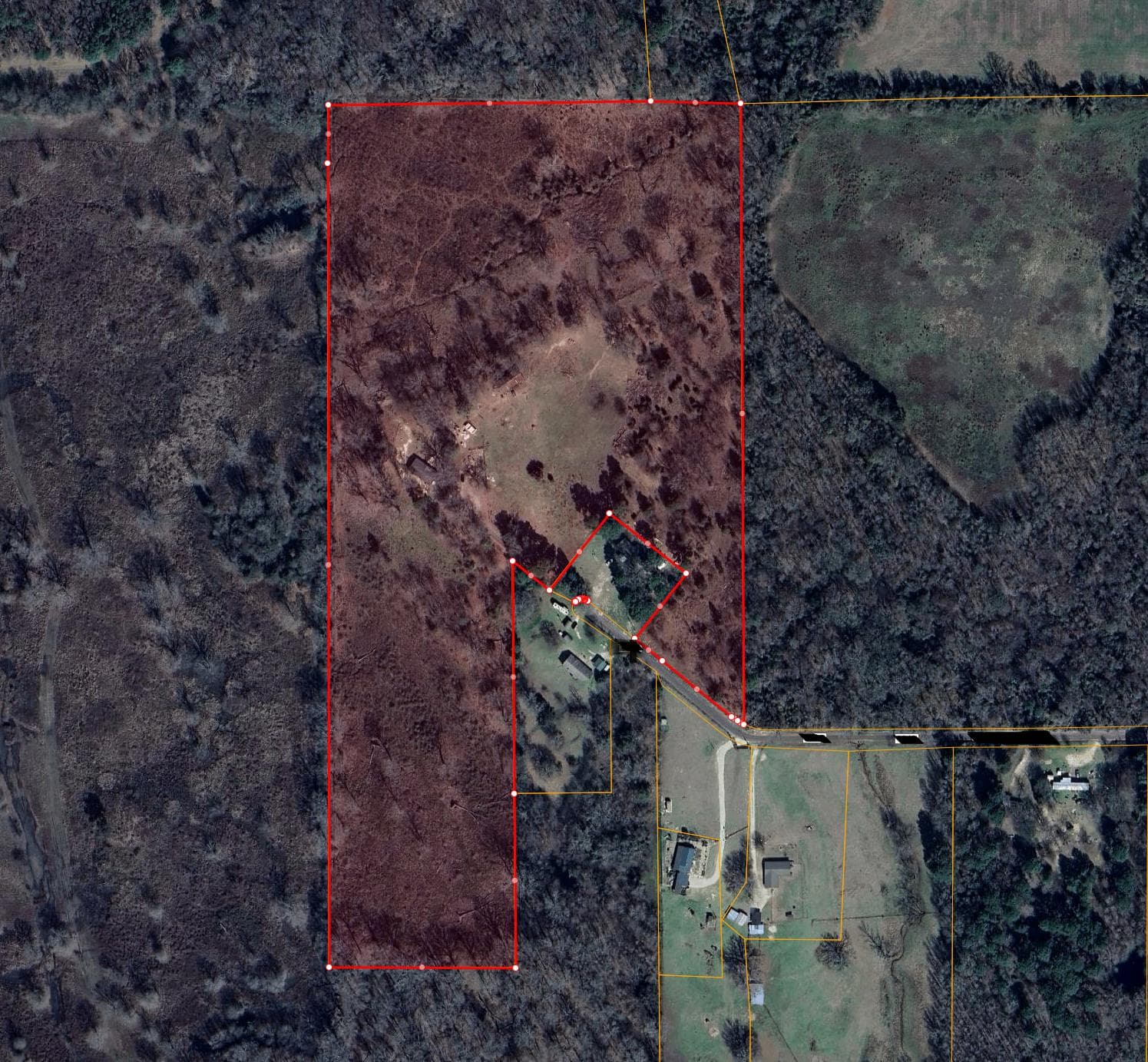 Camp County 28 Deer Lease - Photo 1