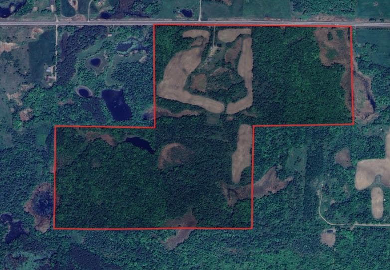 160 Acre Rusk County Whitetail Lease  - Photo 1