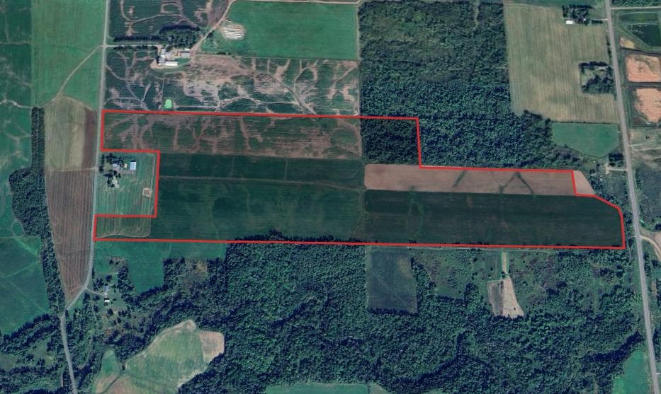 120 Acre Bayfield County Hunting  - Photo 1