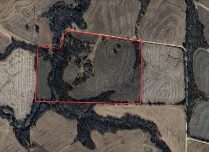 51 Acres Saline County Hunting - Photo 1