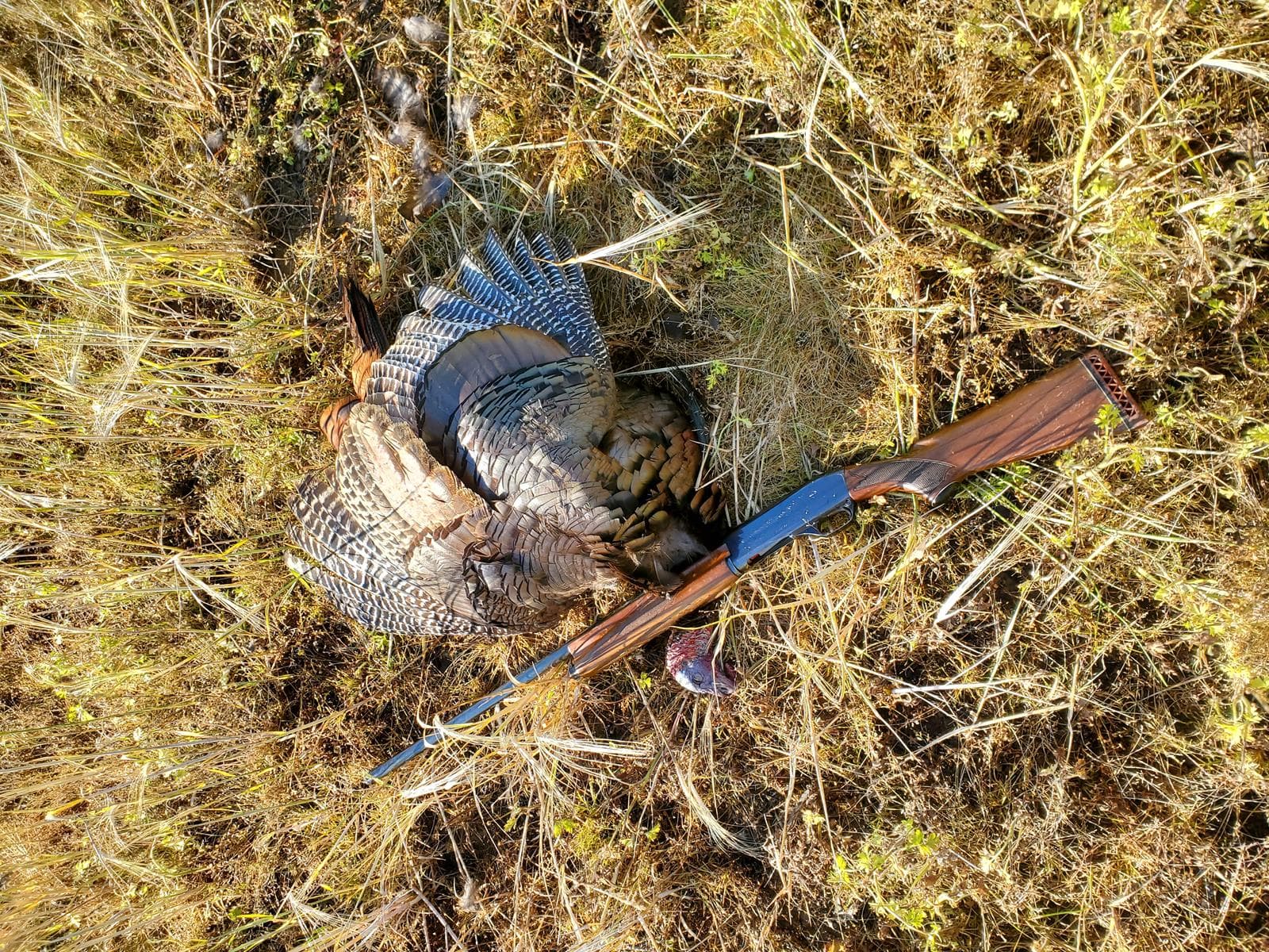 224 Acre Fauquier County VA Annual Hunting Lease - Photo 1