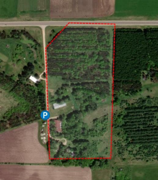 19 Acre Pierce County Hunting Lease - Photo 1