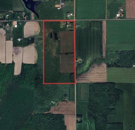 80 Acre Taylor County Hunting Lease  - Photo 1