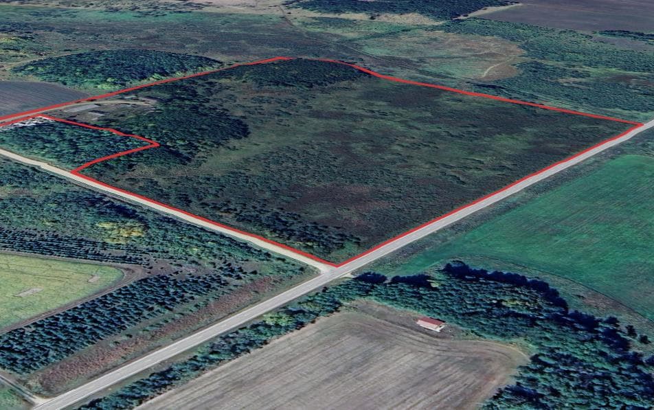 37 Acre Otter Tail County Hunting Lease  - Photo 1