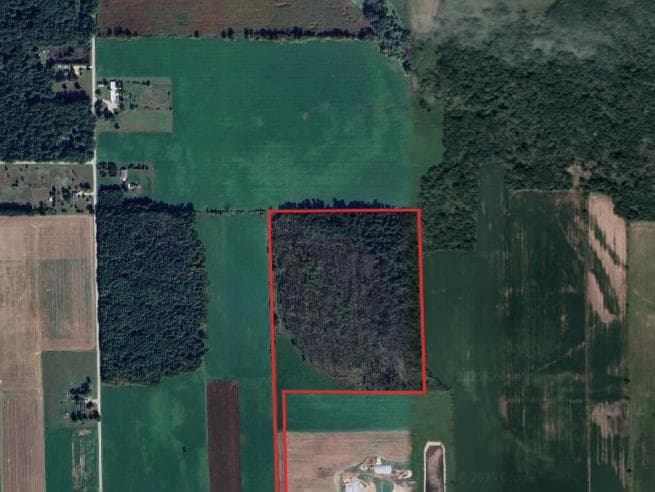 42 Acre Winnebago Archery Hunting Lease  - Photo 1