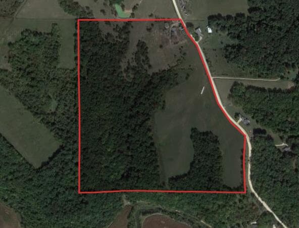 78 Acre Jackson County Hunting Lease Zone 8 - Photo 1
