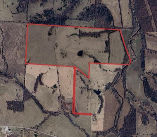 134 Acre Cooper County Hunting Lease - Photo 1