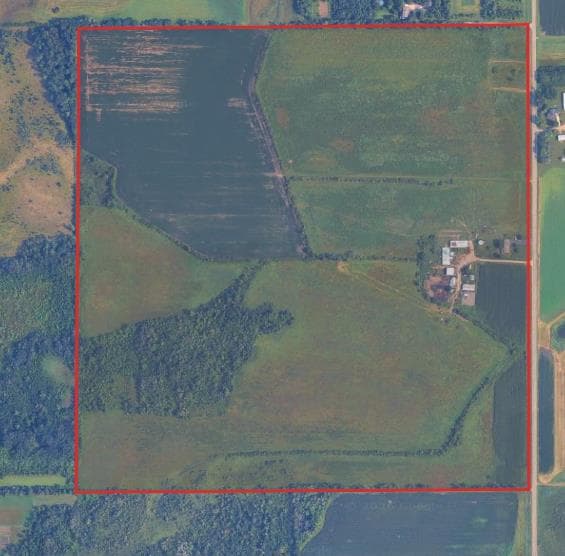 160 Acre Stearns County Hunting Lease - Photo 1