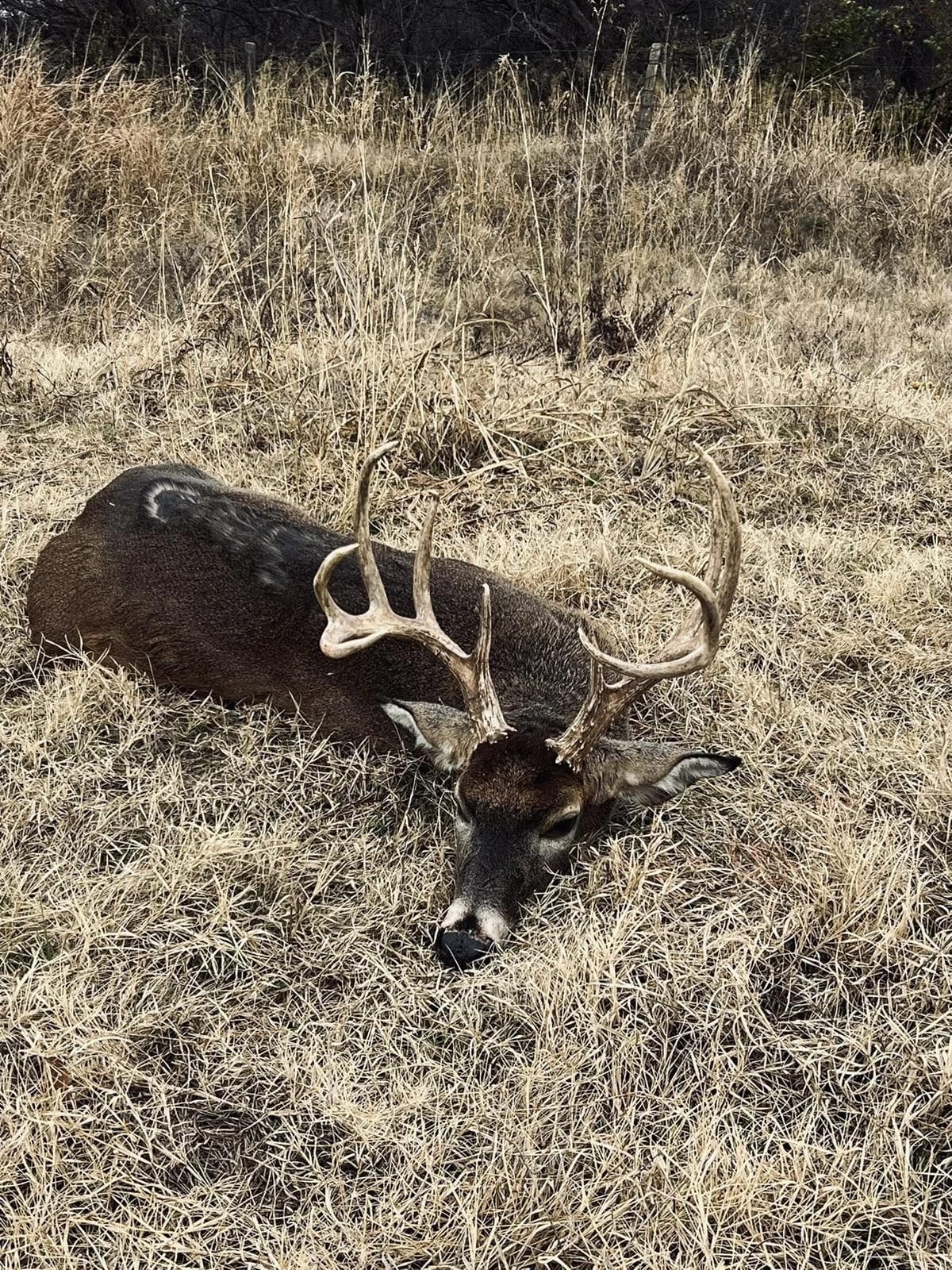 Blaine County 320 Acre - Cedar Knoll Hunting - Photo 1